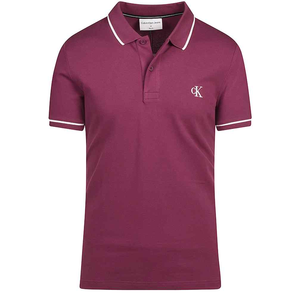 Tipping Polo Shirt in Purple